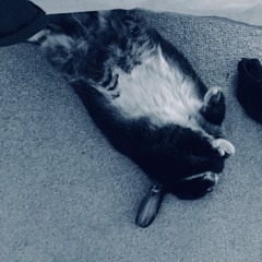 Bunny Flop