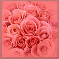 분홍립스틱 new (sung by my little sister, nonprofessional, ordinary person)