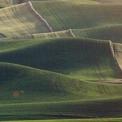 VNice