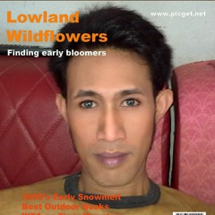 Dash Berlin feat. Emma Hewitt - Waiting ---special---CCQ Remix