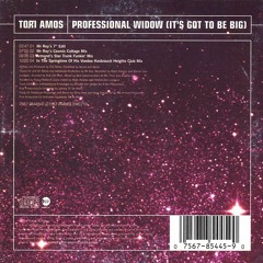 Tori Amos - Professional Widow (Armand van Helden Remix) [CK Edit]