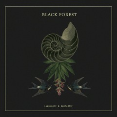 Landhouse & Raddantze - Back From The Black Forest (Nathan Hall Remix)