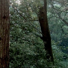 Golden Slumbers/Carry that way - Jennifer Hudson l Cover