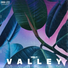 Slvg - Toxic