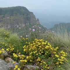 ሓድሽ ዓመት 2010