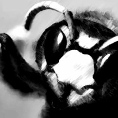sBUME_BlackHornet