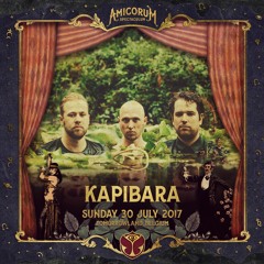 Kapibara  - Live at Tomorrowland 2017