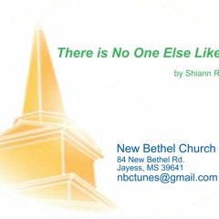 Shiann Robinson - There Is No One Else Like You - Terry Macalmon