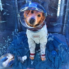 Laika