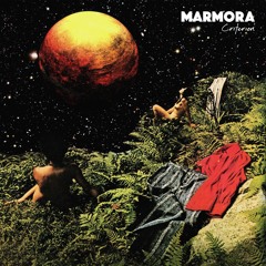 Flowers in Your Garden