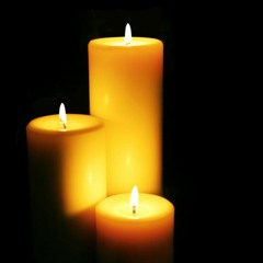 Supermarket Flowers - Mr. Daley