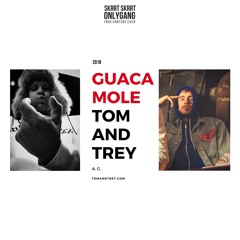 TOM AND TREY - GUACAMOLE