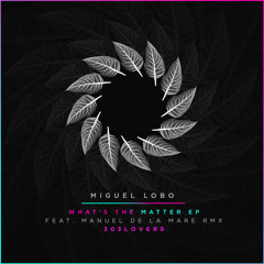 Miguel Lobo - Nibiru (Manuel De La Mare Rmx PREVIEW)