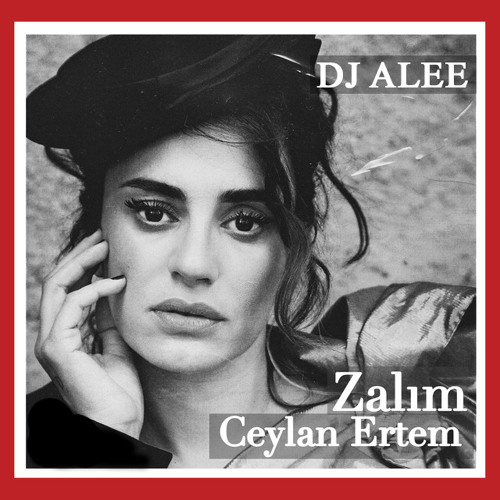 DJ ALEE & CEYLAN ERTEM - ZALIM