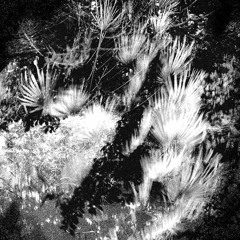 A2 Edanticonf - Stars 01 (Artefakt Remix)