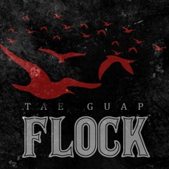 Tae Guap - Flock