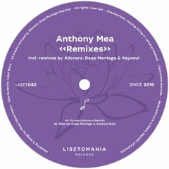 Anthony Mea - Purple (Allovers Remix) Preview