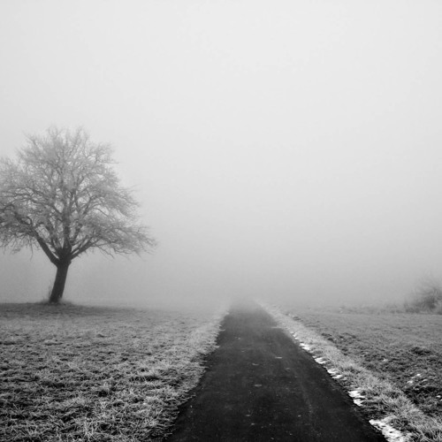 Lonely (Ft. Shiloh) [Demo]