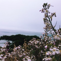 toxic - britney spears (cover)