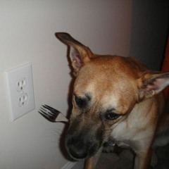 Suicide (Prod. By MIVADI)