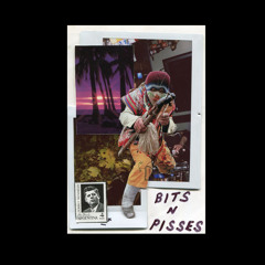 we're in vietnam (r. stevie moore)