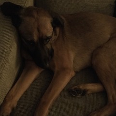 Idioti (kapitel ett)