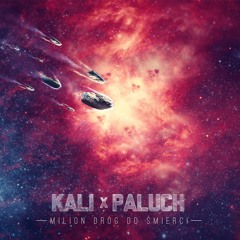 09. Kali X Paluch - Whiskey Haze