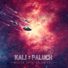 Kali X Paluch - Milion Dróg Do Śmierci