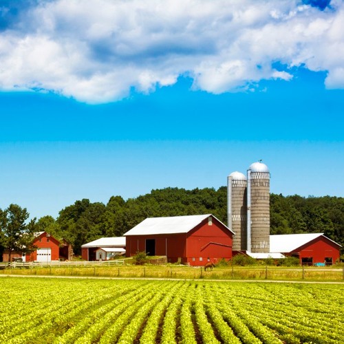 Learn English via Listening Level 1 Unit 29 The Farm