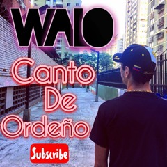 Walo - Canto De Ordeño (Original Mix)