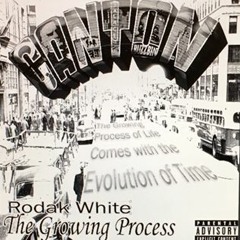 Second Chance  (Relevant Beats)