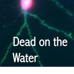 Dead on the Water