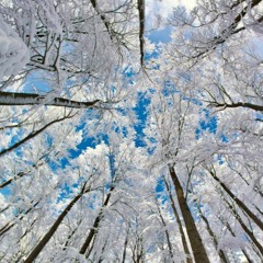 Week 4 of dec.2017--Week 3 of jan.2018_PART01(001-047/700)＿Recommend Set (Various artists)