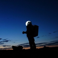 Tour Guide (Instrument)by Boriska