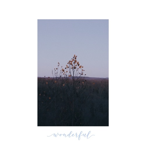 Though I Speak - Wonderful