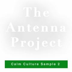 Calm Culture Sample 2