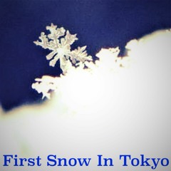 First Snow In Tokyo