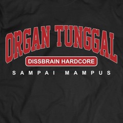 DissBrain - Fight For Your Right - Preview