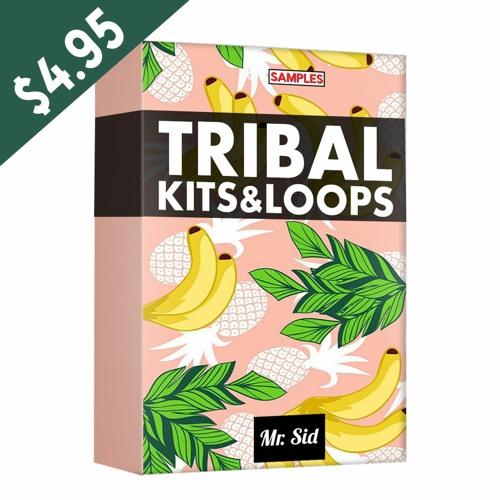 Tribal Kits & Loops by Mr. Sid / ONLY $4.95