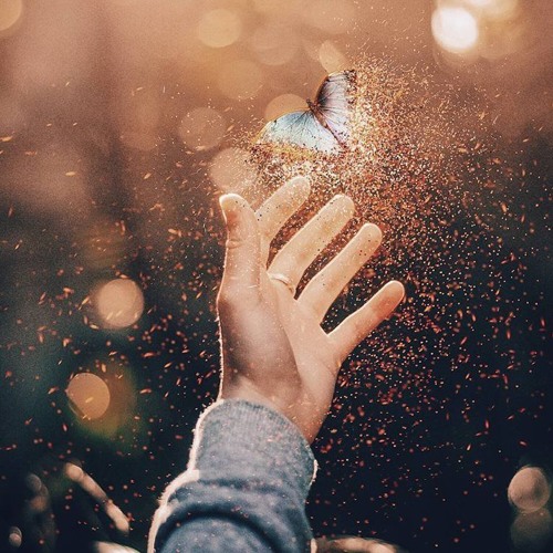 . 🌼 أحلامْ .
