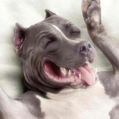 Sleep Well