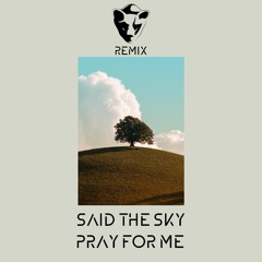 Said The Sky - Pray For Me Feat. Origami (Biörnito Remix)