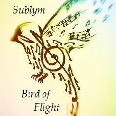 Bird of Flight