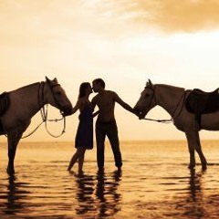 Romantic music - Untitled
