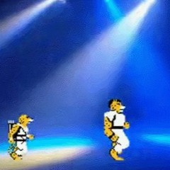 I Put a Cheetahmen Remix over Disco