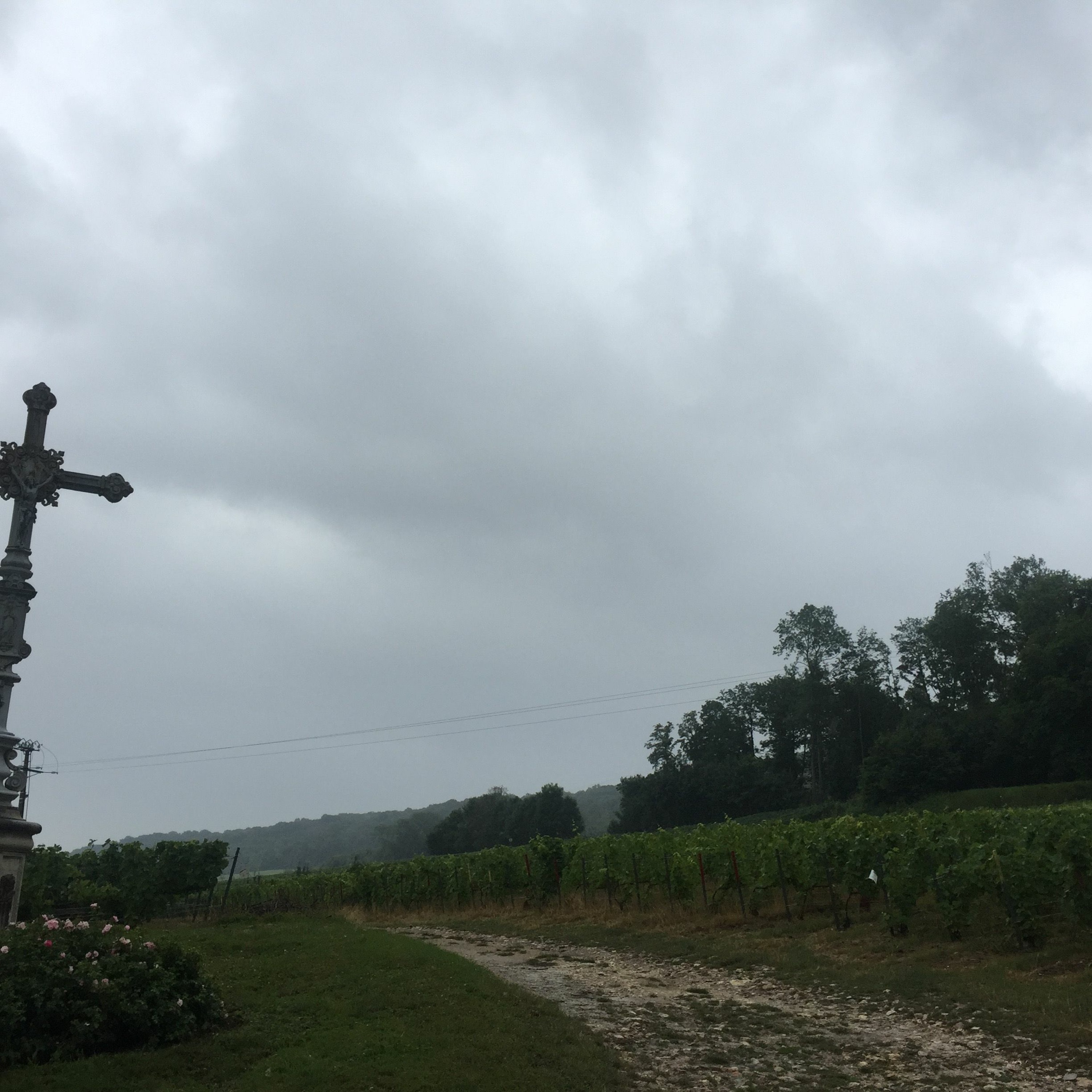 Matthew\'s World of Wine and Drink