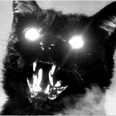 Sinistroz - Scared Cat
