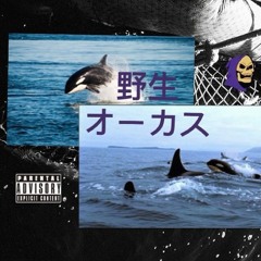 WildOrca$ ( ft. LilBones ) [Prod. Bleach]