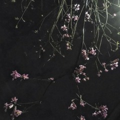 linda // flip by JLZ