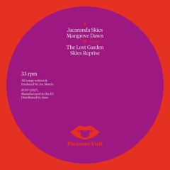 Joe Morris - Skies Reprise